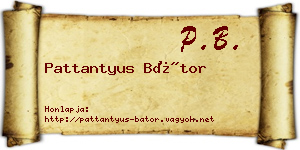 Pattantyus Bátor névjegykártya